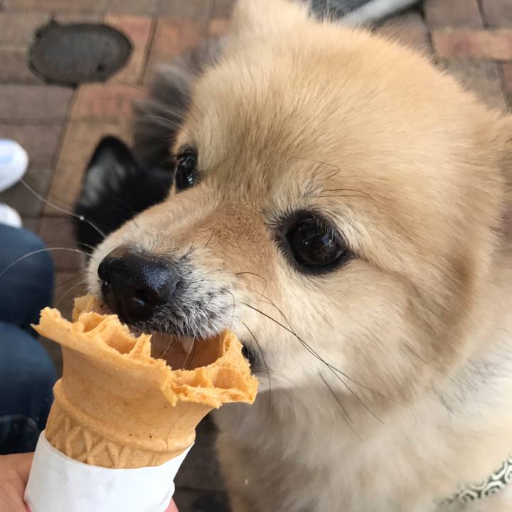 D4a4c2e2 a00b 4599 8dc0 f2780f832733 1573644045935