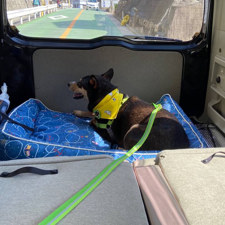 D4a4d3d0 dcca 4ec5 b81d 38c2bd0b5591 1603182735838