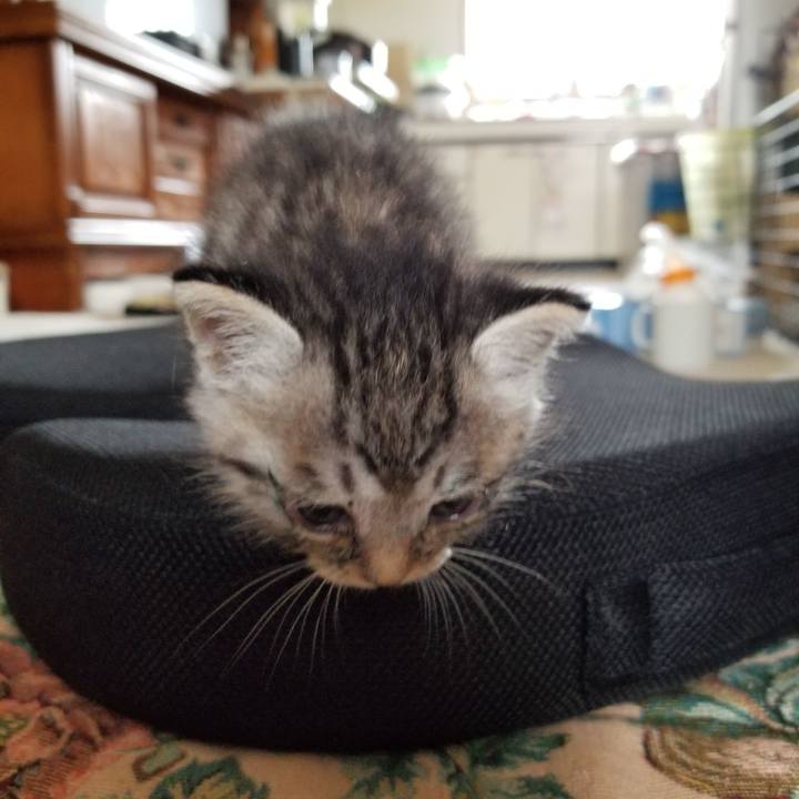 D4a4dab5 45de 4e35 913d 962fd7cd8aa4 1660174241308