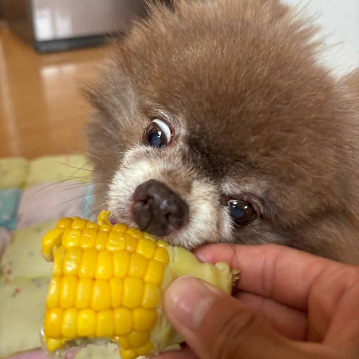 D4a528d8 8b7b 43ff 9d05 c7b76148153d 1752709331554