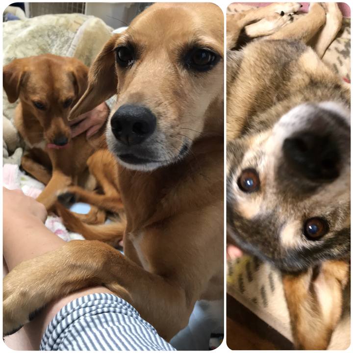 D4a59c80 ba89 4ecf be9e 1210be258d42 1540994881204