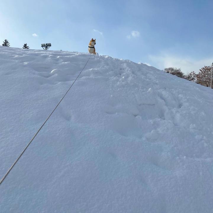 D4a5dc2f 3297 4f87 a257 6d30c9a80381 1671076011560