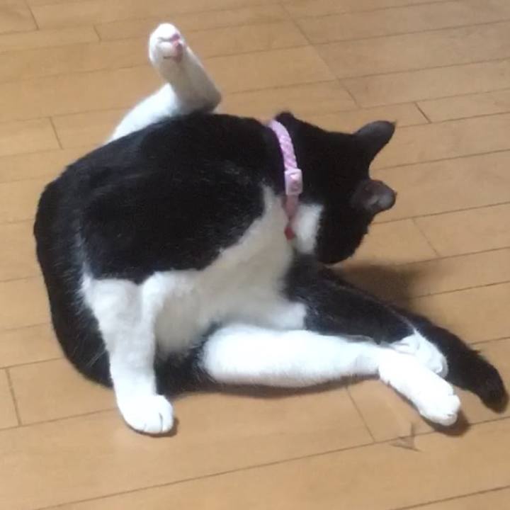 D4a601b0 16ff 4813 93be ac8ec5e5228a 1590825697463