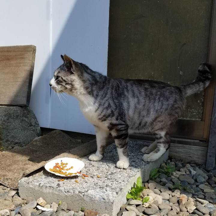 D4a634b6 28b0 417c 9785 eeee57de7d71 1625326154684