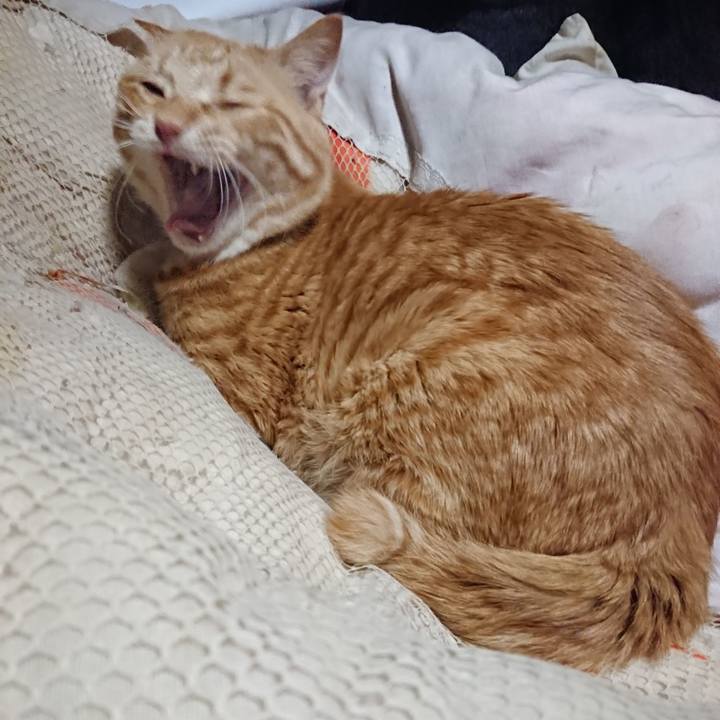 D4a65205 7464 44a4 ac91 d3b339d918ab 1645477194982