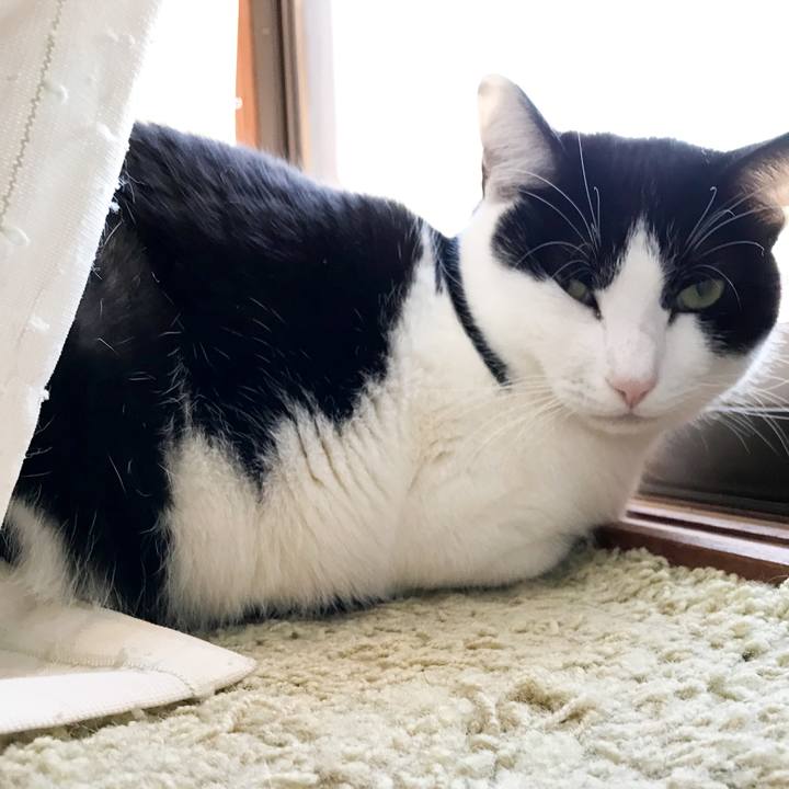 D4a6530d 1b8a 4fed a982 9e77e54c6f06 1517582421176