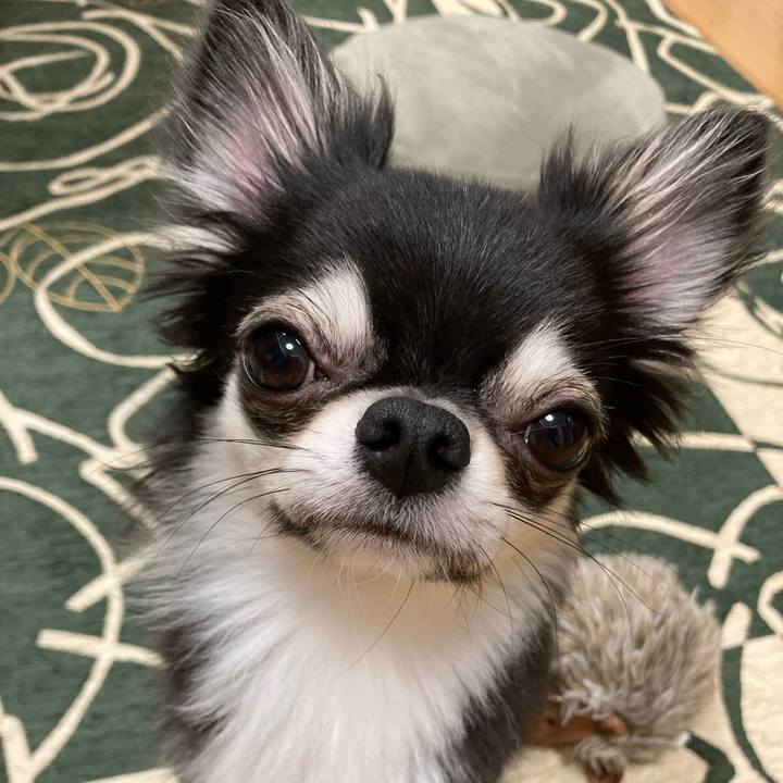 D4a66149 3960 4a64 9b67 d0cbd497b65d 1631454763263