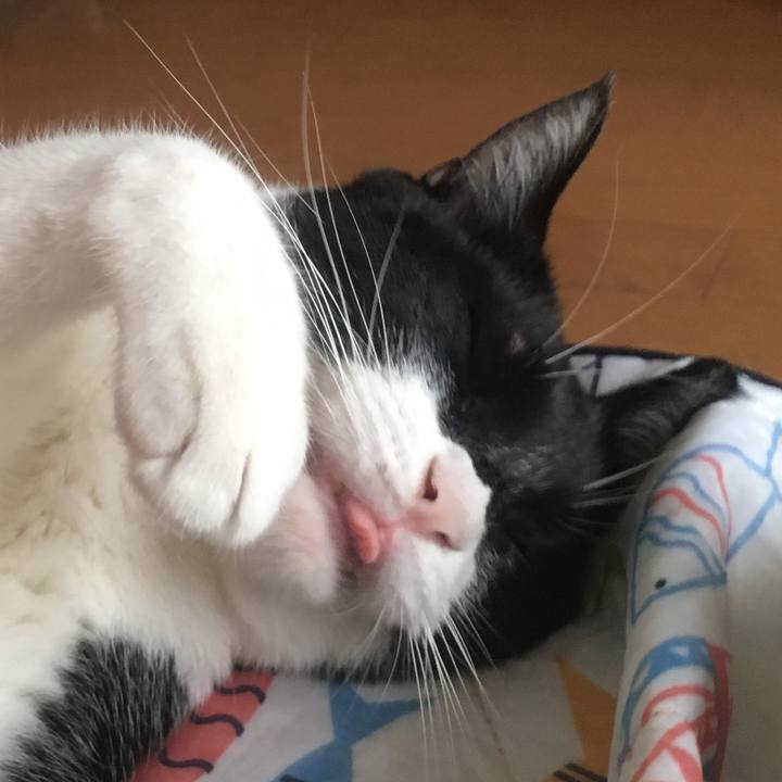 D4a683b5 d530 4872 a6c2 c42663b87fc9 1571576437059