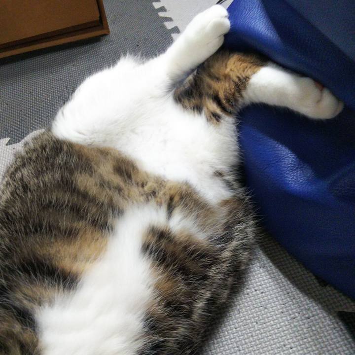 D4a6d680 8b8e 4ae3 bd0d f2f6c3732fda 1627908873055