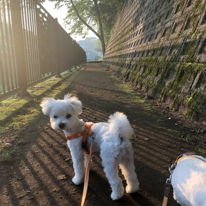 D4a729f7 0a38 4680 a6f6 2cb66a8ff1ea 1526626210948