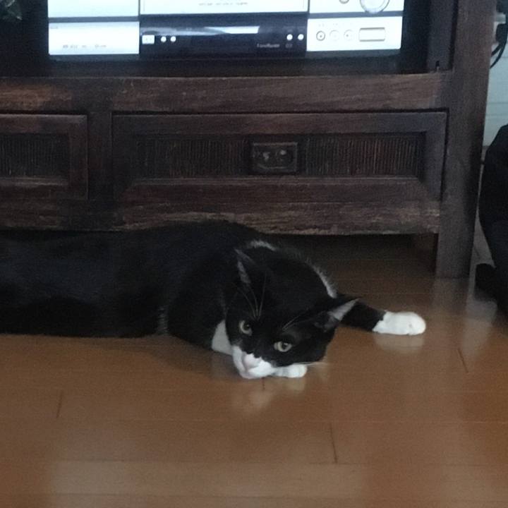 D4a76c0d 8de2 4d1b a0bf a081735c64c9 1584235864321