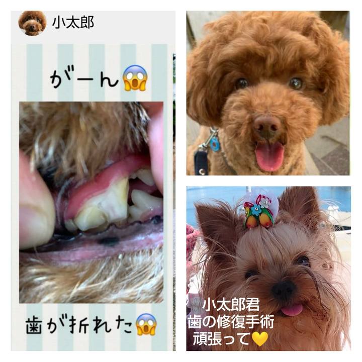 D4a77a15 d4c0 41ab 82e0 e0a75d89df3b 1625006676050