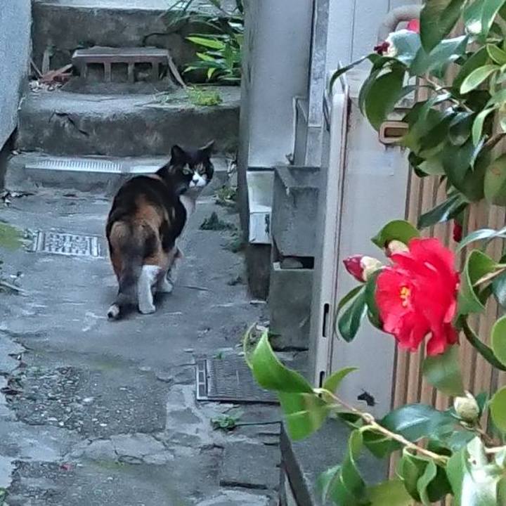 D4a7d7df 5fb0 4a5c 9f28 ed3cfb5418f1 1677887680985