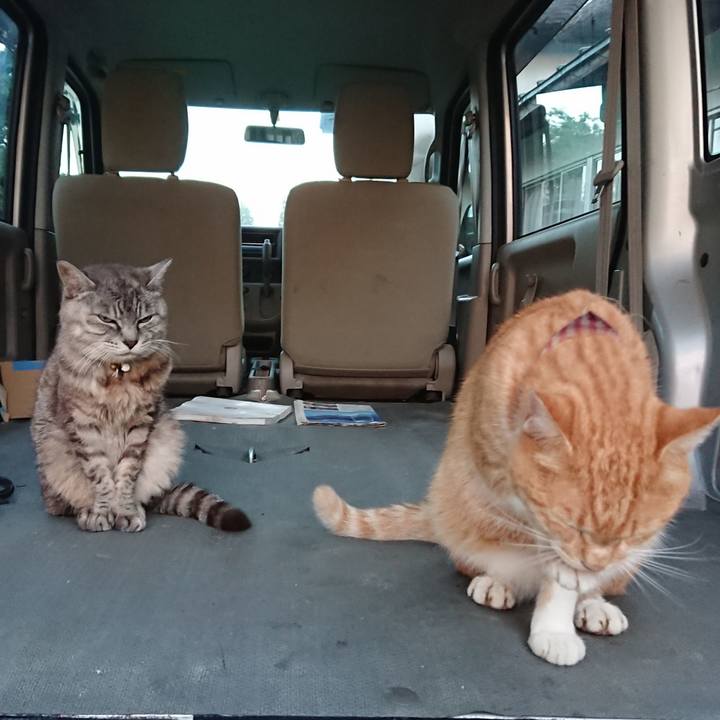 D4a7e5d7 8d57 4a46 b1ae 3ee87b3889fb 1568234164459