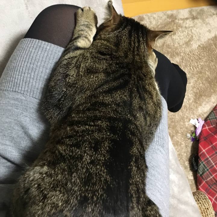 D4a7ef57 e084 4897 9e52 f3f8a01cf971 1576499378872