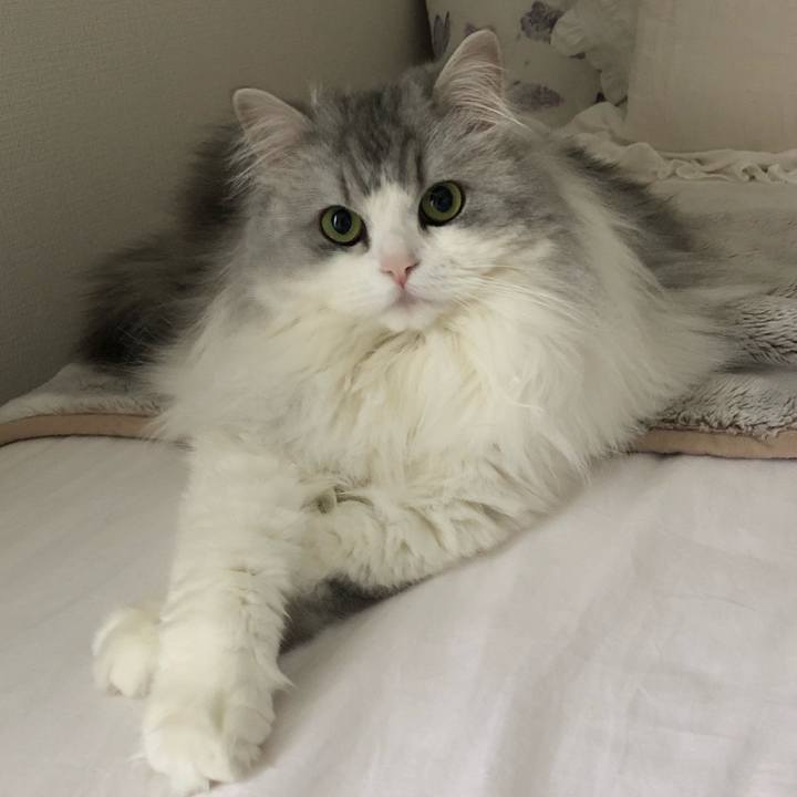 D4a81424 8ed5 4d1f 8914 f3bb9cebd7f1 1556282340006