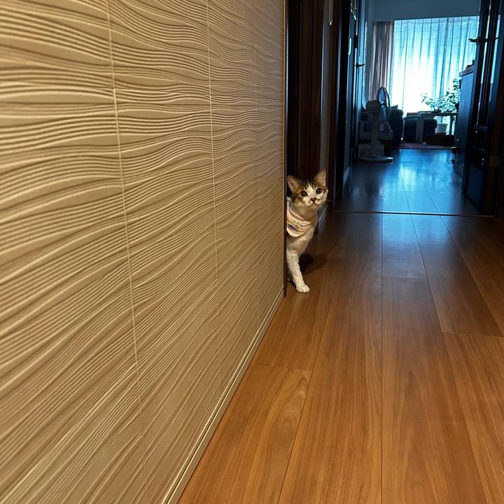 D4a82af5 c22b 4bdb 93d1 a7ac5dfd409c 1760230607208