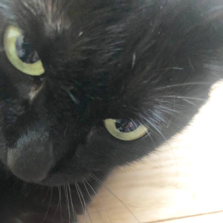 D4a89144 38f1 4c9f b5b6 cb4c899b6938 1585370628575