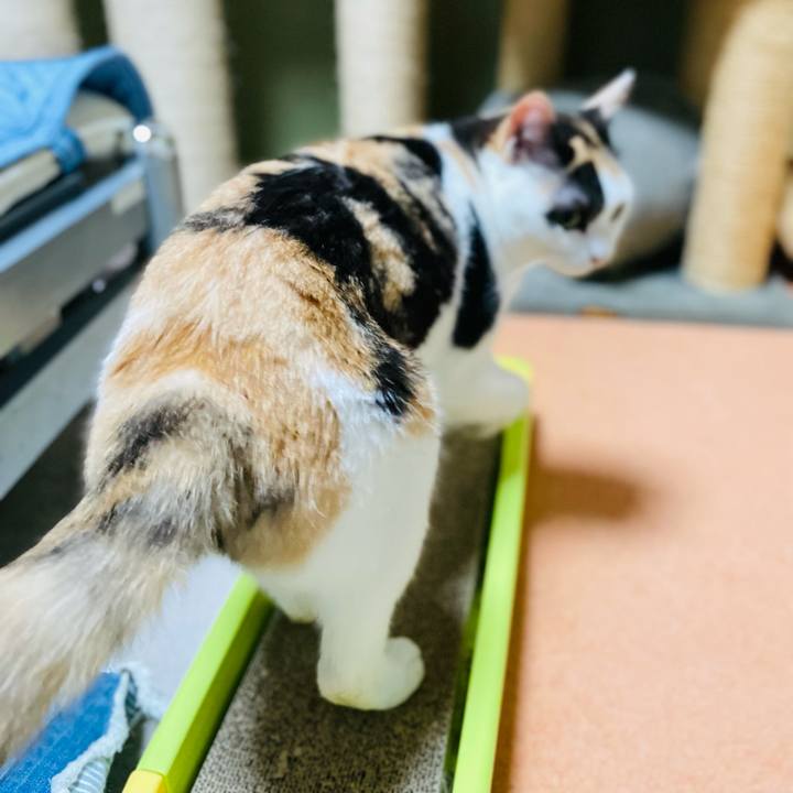 D4a89200 69c0 4a01 b46a d2606f303109 1624848144977