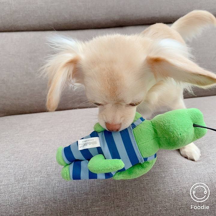 D4a90271 5576 4fdd 9258 d342212ec6bb 1603433551664