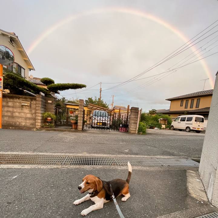 D4a903db ab9b 4bc8 8bee e11f316e292d 1632317619902