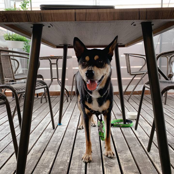 D4a9178a f47c 47cb 9cfe b55caf7f4318 1563699772107