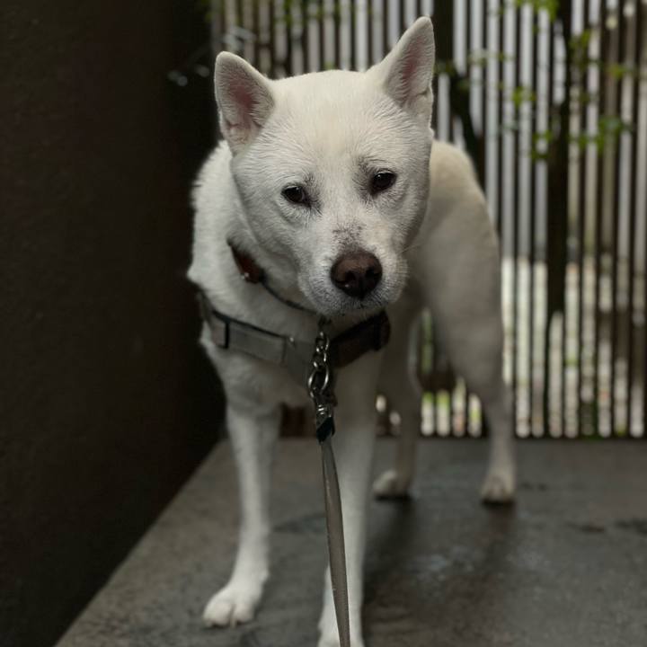 D4a96d12 767e 4229 85f9 d8e3d931a2a4 1680752079084