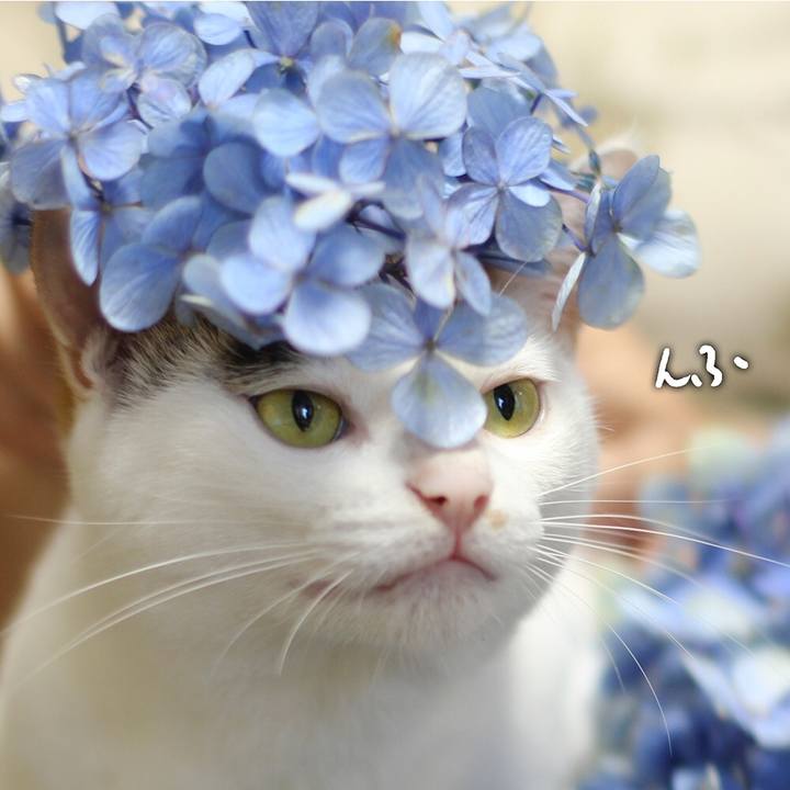 D4a984da f502 4e67 b67d e941d35530a6 1563624289183