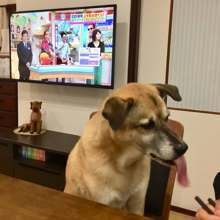 D4a9d194 1eab 4755 adc7 8ebe5f6c3c66 1533770657822