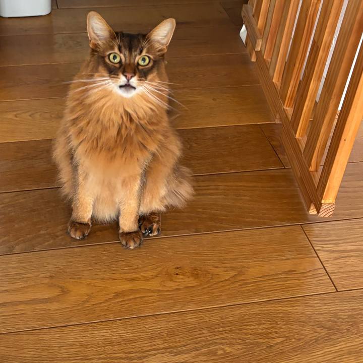 D4a9d53a 428b 4aff ae34 7a6e574d2442 1744949529262