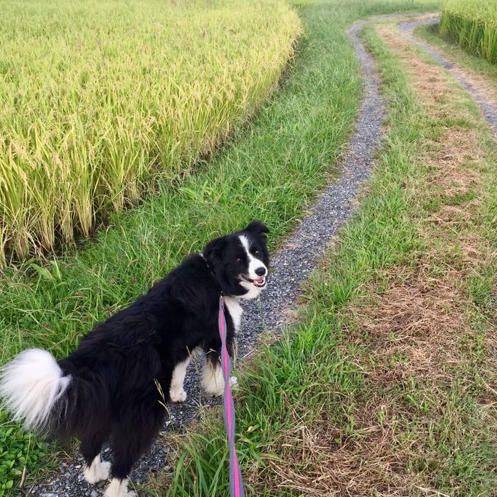 D4a9de00 4ca9 4c73 bfaf 13de48ec9b9f 1569021864539