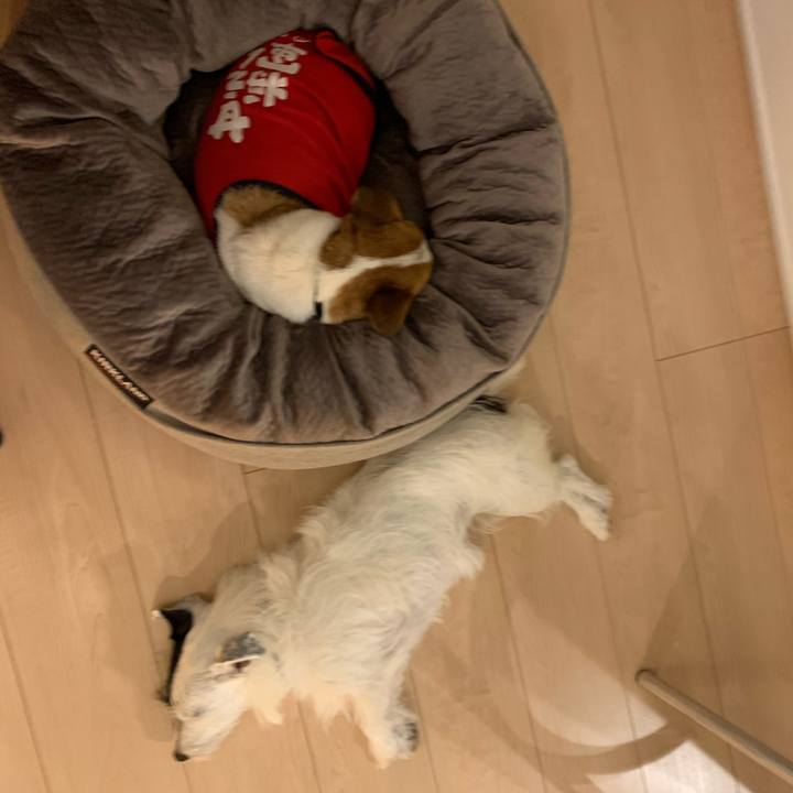 D4aa1272 038b 4bac 843a d766e481d925 1597663781404