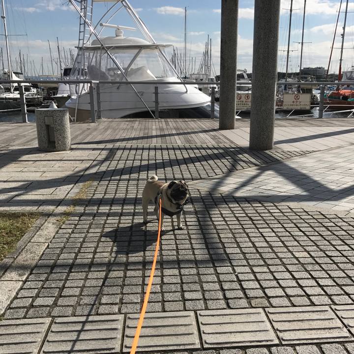 D4aa160f 8618 44d1 b491 638b5b069c7b 1510463413041