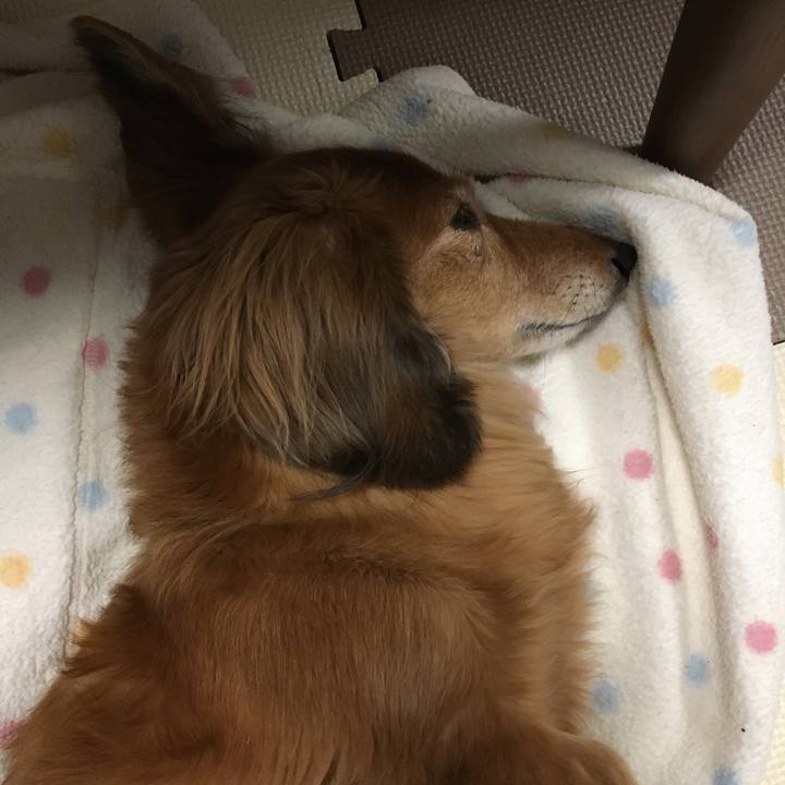 D4aa3dc4 2d3e 4640 b617 2ab1a118b1cc 1608212401396