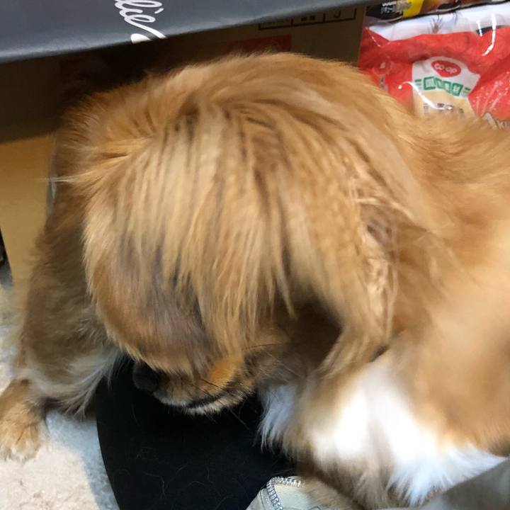 D4aa543c bc21 400c a143 3e07d8383dee 1516138031537