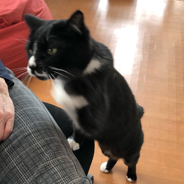 D4aa8b57 c482 4f10 a3e8 72d15652f7fb 1648611802029