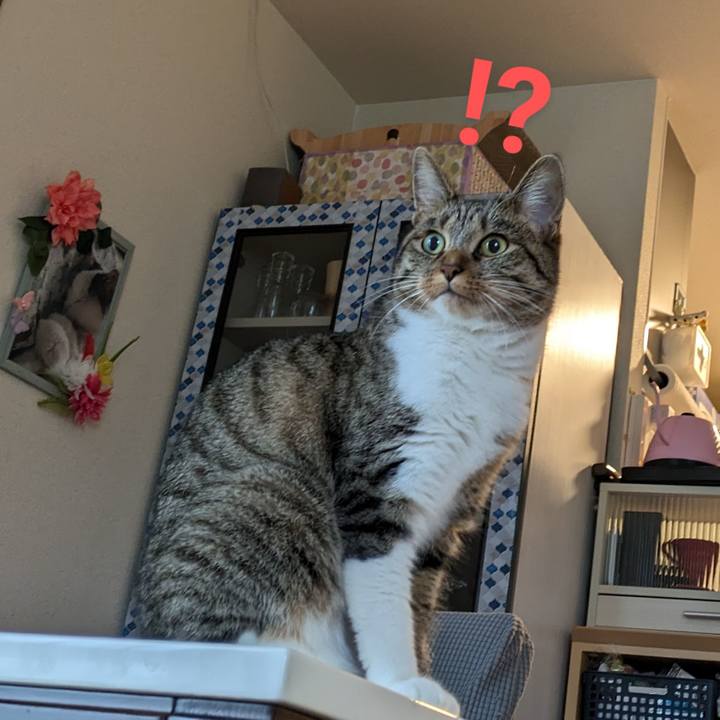 D4aa8e78 03c2 4786 90b3 e703ace388f6 1691964868212