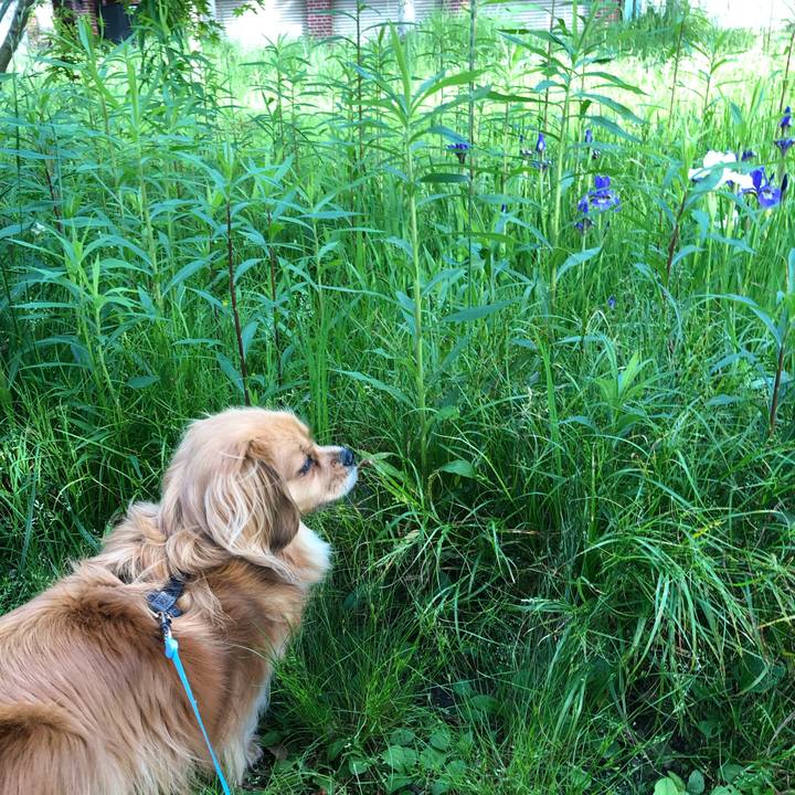 D4aab595 edf1 4af5 be3d 957aabdd410a 1558133706550