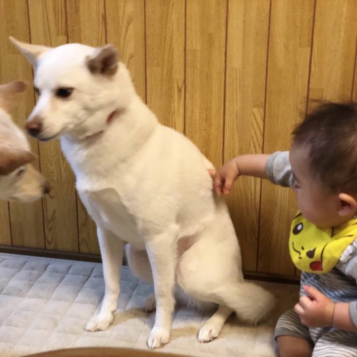 D4aae673 bfaf 4843 9ba7 c76e3d15a164 1516356765649