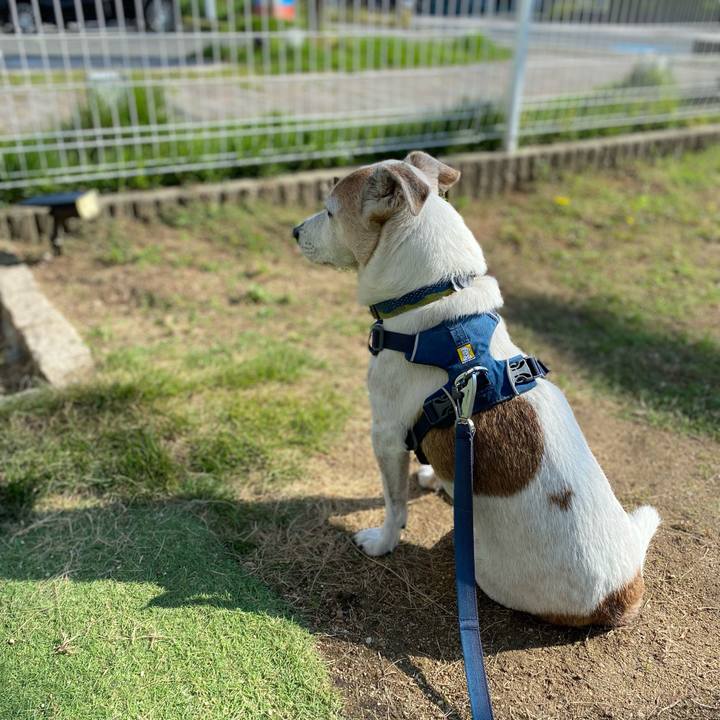 D4ab0257 8503 4767 a31b b5244e144899 1664496204954