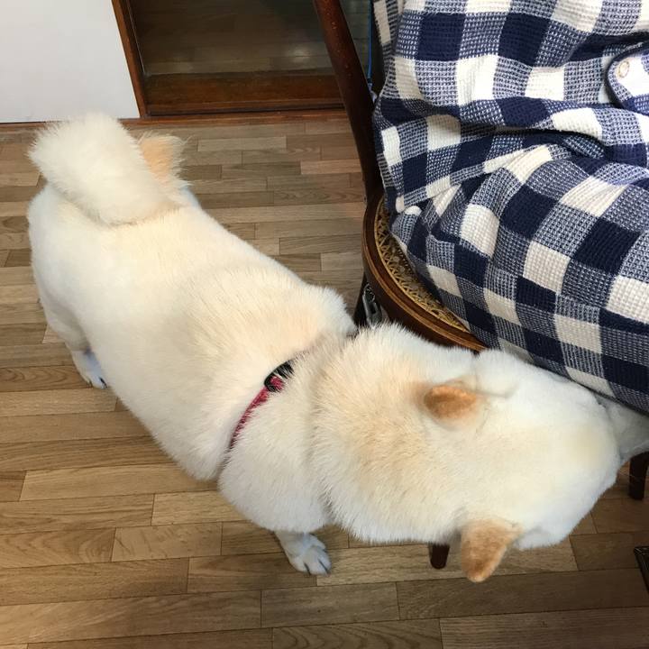 D4ab15e2 d0b0 4010 8cf9 3738bc4d5cf9 1539468288573