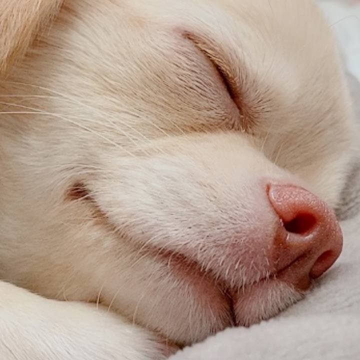 D4ab6531 6b6f 4f38 9b63 2662a65342c3 1604362633125