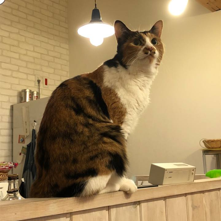 D4ab8121 5ddc 41d0 a23e ac3fc6b00ac3 1602241929185