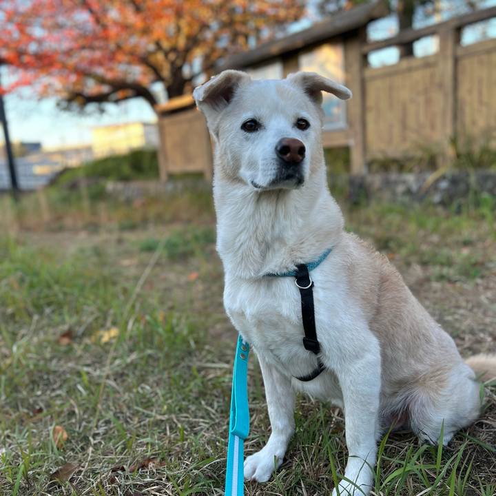 D4ab9612 239e 4457 a501 0743938418d3 1764386795224