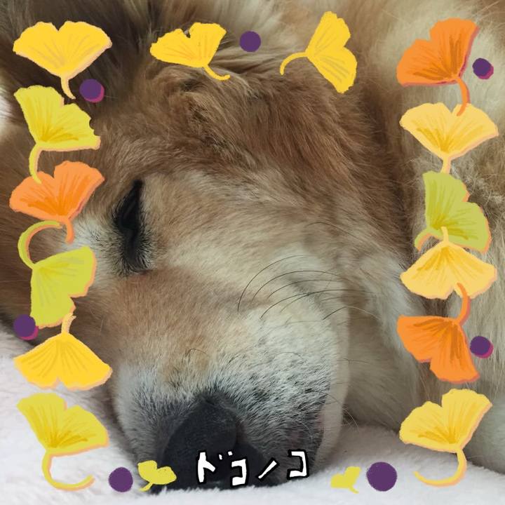 D4ab9fb7 4b6c 4637 9c21 d0797ac5732e 1729726141546