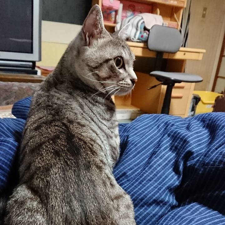 D4abcb83 1200 4288 bad4 7b1e919ee2fe 1569576792622