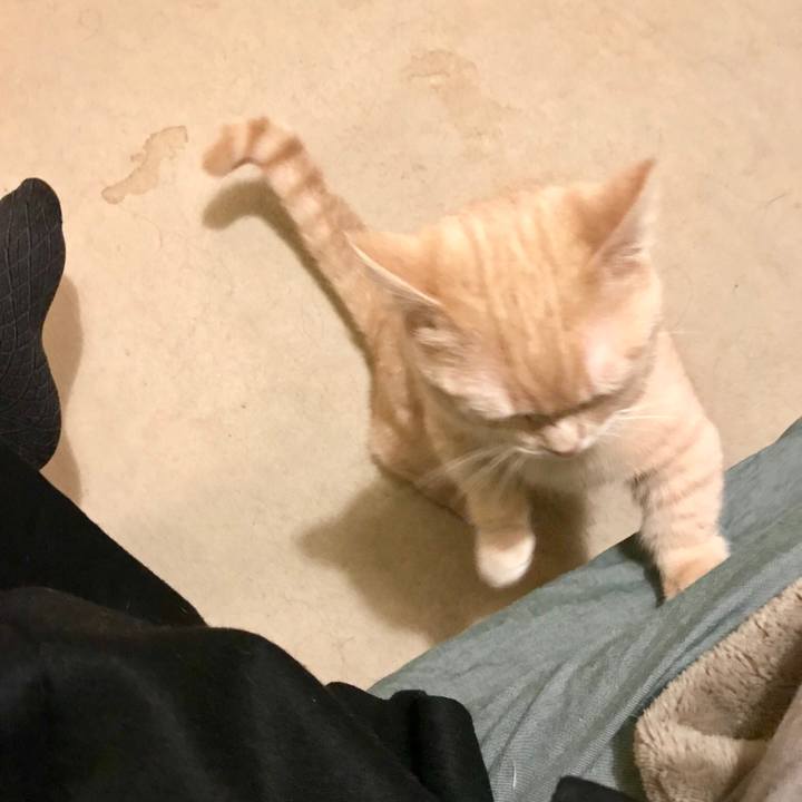 D4ac1556 0ee3 4cd5 8407 056318b53c24 1519826394555