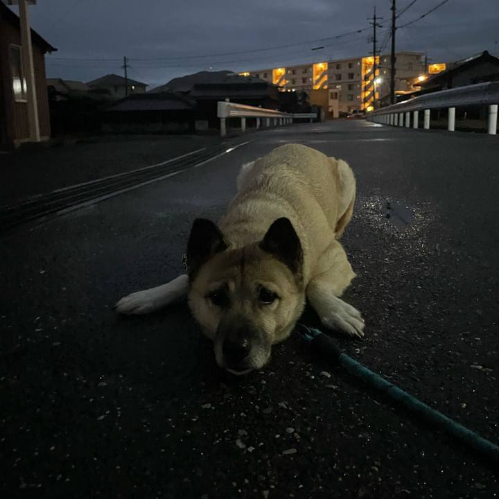 D4ac75c2 5f78 4f94 97c5 3a13886ccecf 1705664757310