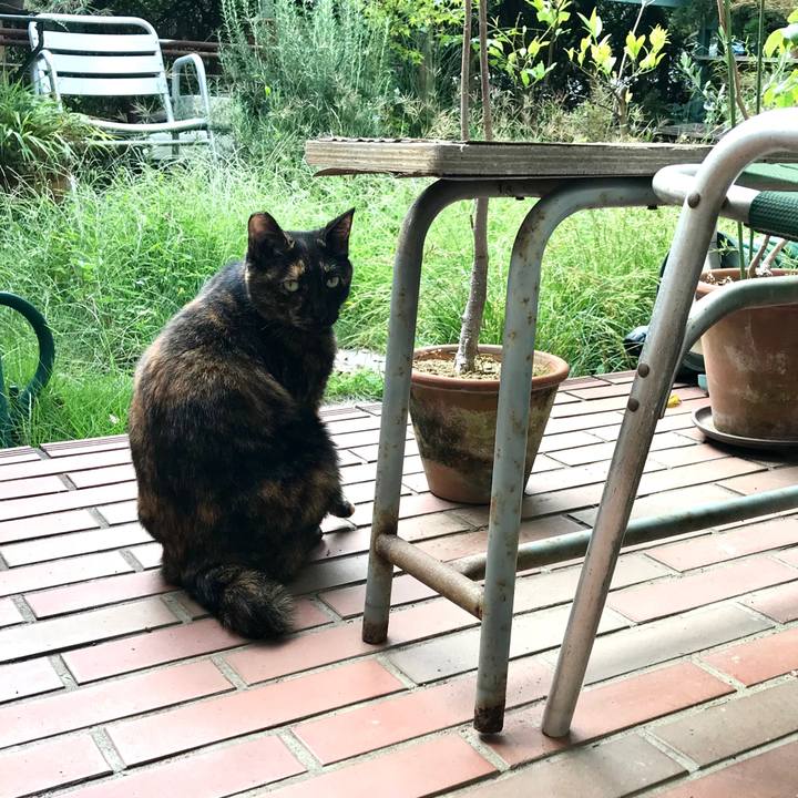 D4ac861c af61 41b5 a106 8b41220d8aa3 1570683056926