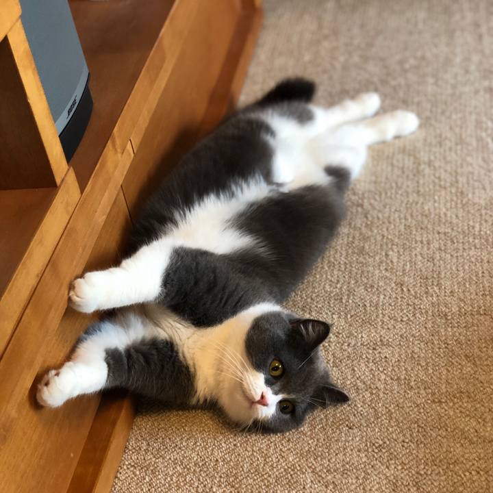 D4ac94f4 462c 4299 8219 b2113274fa3a 1557096837865